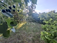 Szigetújfalu Telek 8