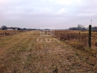 Tököl Wohngrundstück 4