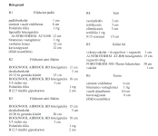 Valkó Családi ház 8