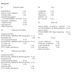 Vácszentlászló Casa Familiala 7