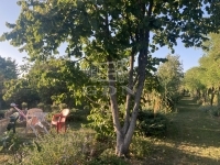 Budapest XXII. kerület Teren pentru constructii 0