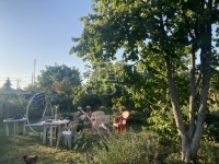 Budapest XXII. kerület Teren pentru constructii 13