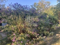 Budapest XXII. kerület Teren pentru constructii 3