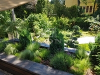 Budapest II. kerület Part of a house 7