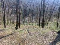 Kismaros 土地 - 31.890.000 HUF