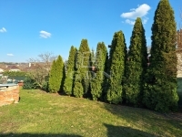 Kistarcsa Családi ház 17