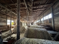 Szokolya 农业区域 15