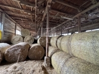 Szokolya 农业区域 18