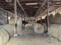 Szokolya 农业区域 16