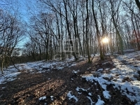 Kismaros Telek - 5.500.000 Ft