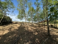 Galgagyörk Családi ház 18