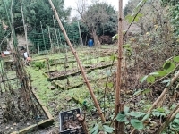 Vác Участок 5