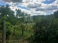 Marcali Mezőgazdasági terület 3