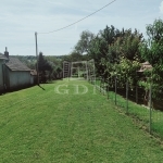 Nagykutas Üzlethelyiség 1