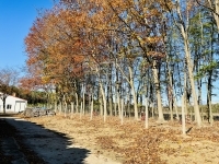 Zalaegerszeg 库房 22