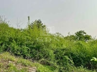 Zalaegerszeg Telek 4