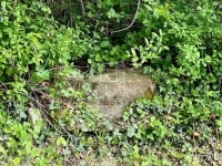 Zalaegerszeg Telek 9