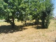 Szentpéterúr Családi ház 11