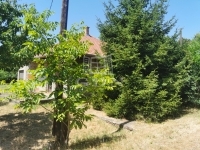 Szentpéterúr Családi ház 7