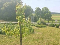 Baktüttös Családi ház 11