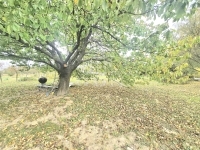 Nagypáli Családi ház 18