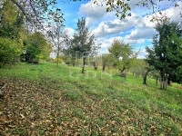 Zalaegerszeg Telek 5