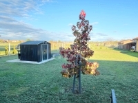 Magyarszerdahely Családi ház 14