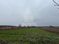 Semjénháza Családi ház 19