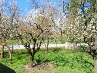 Lendvadedes Családi ház 19