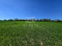 Kéthely Nyaraló 13