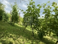 Homokkomárom Nyaraló 7