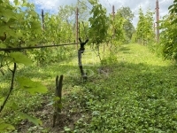 Homokkomárom Nyaraló 8