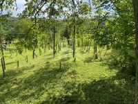 Homokkomárom Nyaraló 20